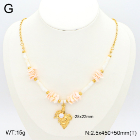 2N3002504bhjl-669  Stainless Steel Necklace
