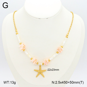 2N3002505bhjl-669  Stainless Steel Necklace