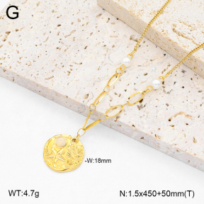 2N3002506bhva-669  Stainless Steel Necklace