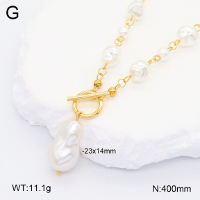2N3002507ahlv-377  Stainless Steel Necklace