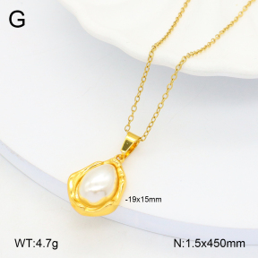 2N3002508ablb-696  Stainless Steel Necklace