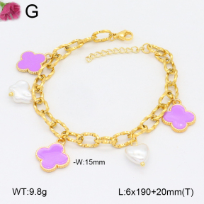 F2B301166bhva-J39  Fashion Bracelet