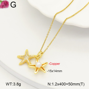 F2N300307vbpb-J183  Fashion Copper Necklace