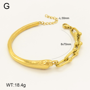 2B2003998vhhl-434  Stainless Steel Bracelet