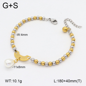2B3003843vbnl-350  Stainless Steel Bracelet