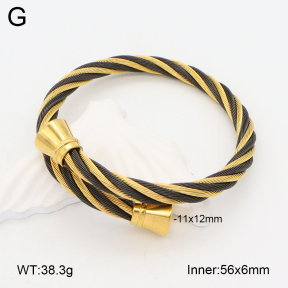 2BA201968bvpl-387  Stainless Steel Bangle