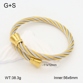 2BA201969abol-387  Stainless Steel Bangle