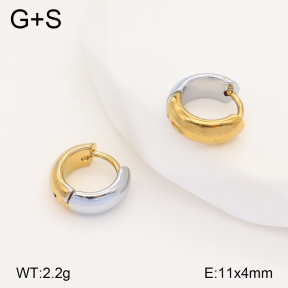 2E2005750baka-434  Stainless Steel Earrings