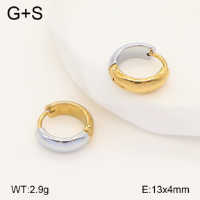 2E2005751baka-434  Stainless Steel Earrings