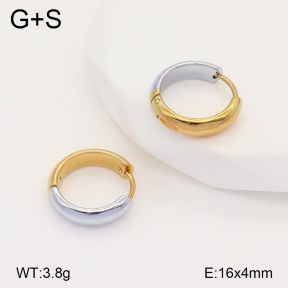 2E2005752baka-434  Stainless Steel Earrings