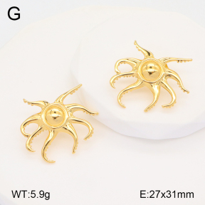 2E2005754aakl-434  Stainless Steel Earrings