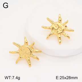 2E2005755aakl-434  Stainless Steel Earrings
