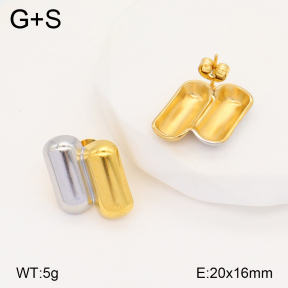2E2005756vbll-434  Stainless Steel Earrings