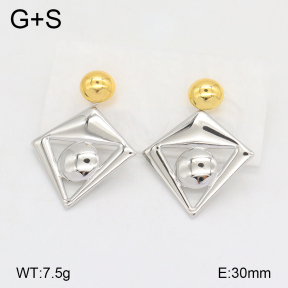 2E2005758vbll-434  Stainless Steel Earrings