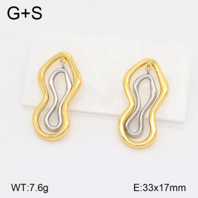 2E2005759vbll-434  Stainless Steel Earrings