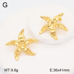2E2005760aakl-434  Stainless Steel Earrings