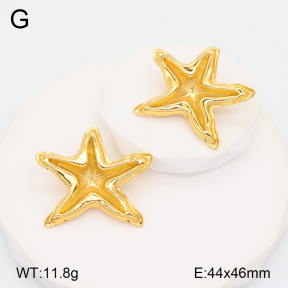 2E2005762aakl-434  Stainless Steel Earrings