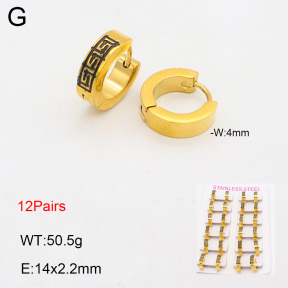 2E2005772amaa-387  Stainless Steel Earrings