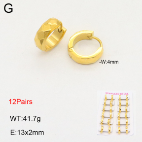 2E2005776alka-387  Stainless Steel Earrings