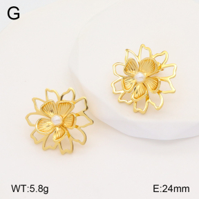 2E3003293vbmb-434  Stainless Steel Earrings