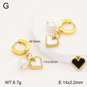 2E3003294bbml-434  Stainless Steel Earrings