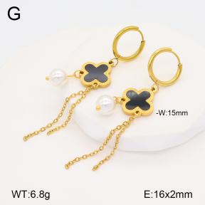 2E3003296bbml-434  Stainless Steel Earrings