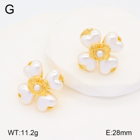 2E3003297bhva-434  Stainless Steel Earrings