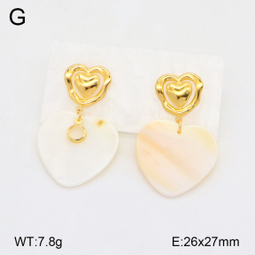 2E3003298vbpb-434  Stainless Steel Earrings