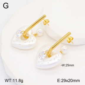 2E3003299bhbl-434  Stainless Steel Earrings