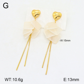 2E3003300bhbl-434  Stainless Steel Earrings