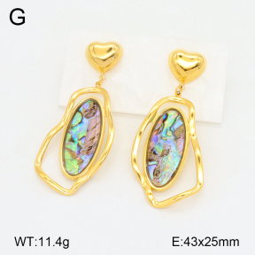 2E3003301vhhl-434  Stainless Steel Earrings