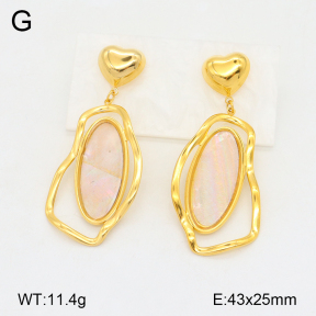 2E3003302vhhl-434  Stainless Steel Earrings