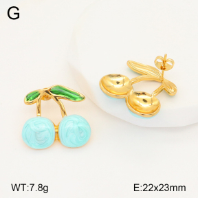 2E3003303vbmb-434  Stainless Steel Earrings
