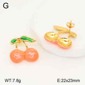 2E3003304vbmb-434  Stainless Steel Earrings
