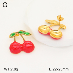 2E3003305vbmb-434  Stainless Steel Earrings