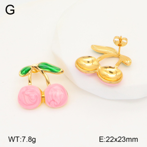 2E3003306vbmb-434  Stainless Steel Earrings
