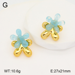 2E3003307bbov-434  Stainless Steel Earrings