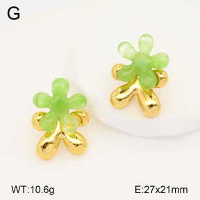 2E3003309bbov-434  Stainless Steel Earrings