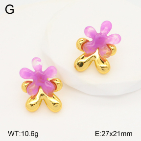 2E3003310bbov-434  Stainless Steel Earrings