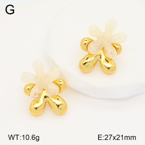 2E3003311bbov-434  Stainless Steel Earrings