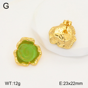 2E3003312bbov-434  Stainless Steel Earrings