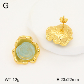 2E3003313bbov-434  Stainless Steel Earrings