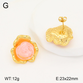 2E3003314bbov-434  Stainless Steel Earrings