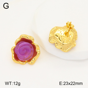 2E3003315bbov-434  Stainless Steel Earrings