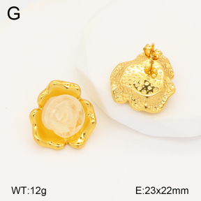 2E3003316bbov-434  Stainless Steel Earrings