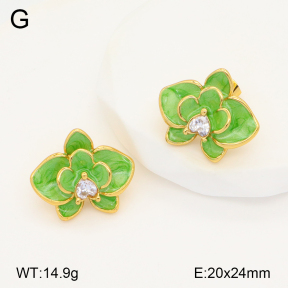 2E3003318bbov-434  Stainless Steel Earrings