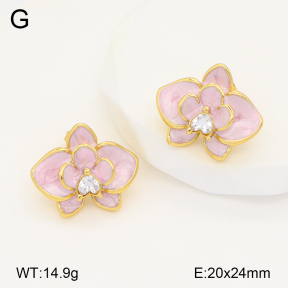 2E3003320bbov-434  Stainless Steel Earrings