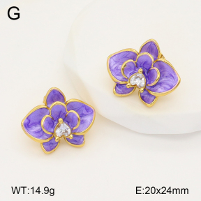 2E3003321bbov-434  Stainless Steel Earrings
