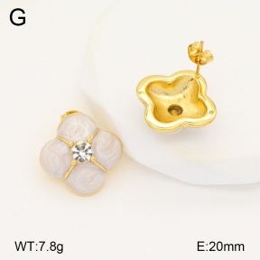 2E3003322bbov-434  Stainless Steel Earrings