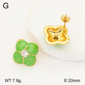2E3003323bbov-434  Stainless Steel Earrings